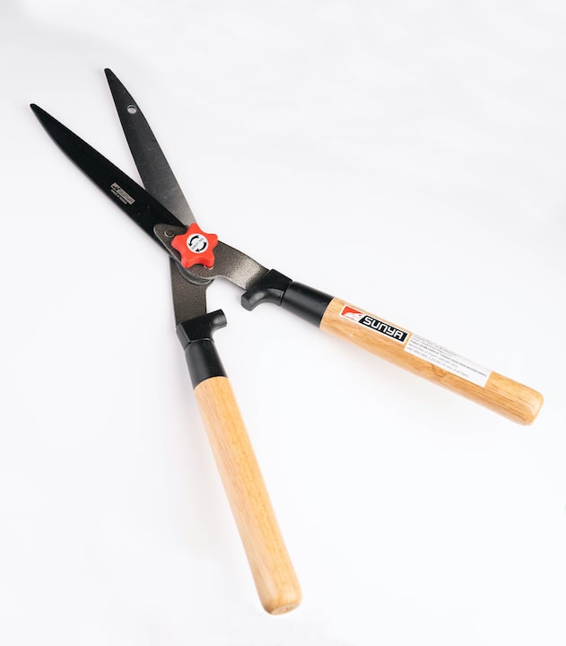 Hedge shears