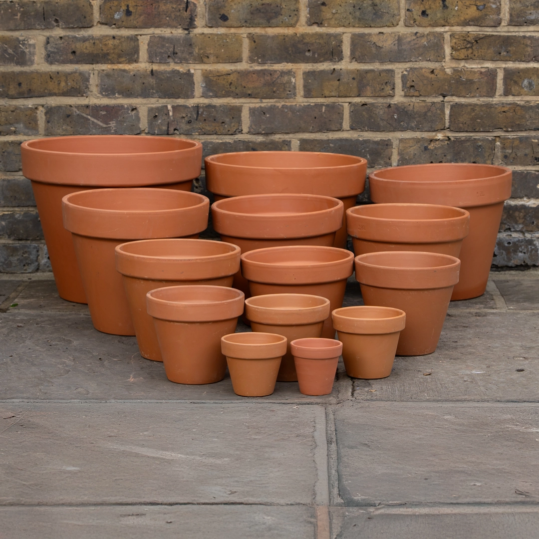 Terracotta Pot