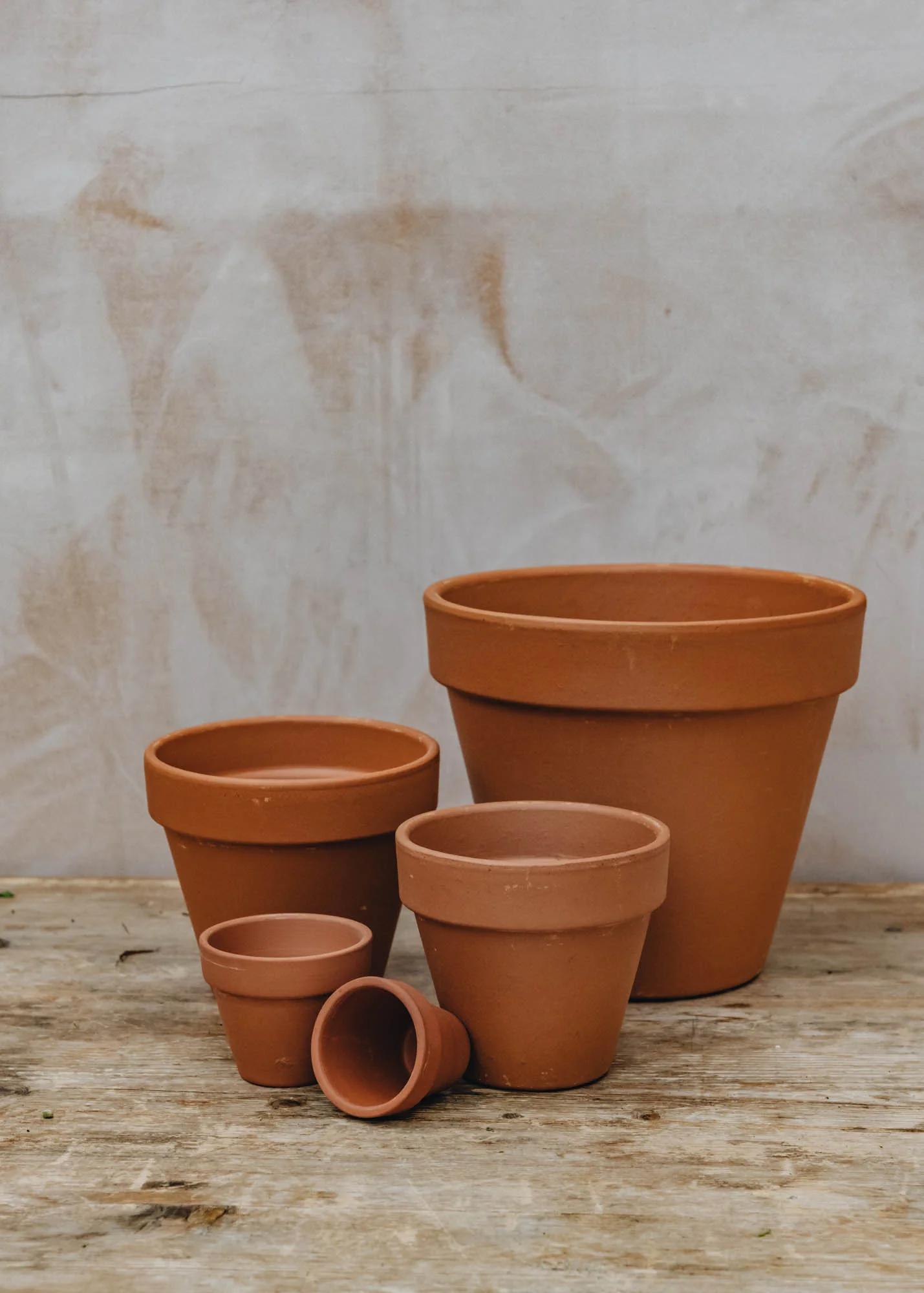 Terracotta Pot