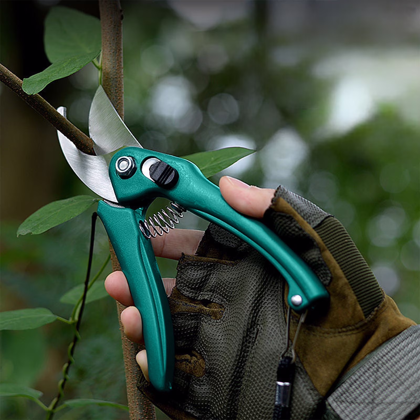 Pruning Shears