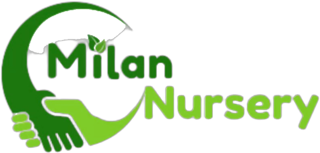 Milan Nursery